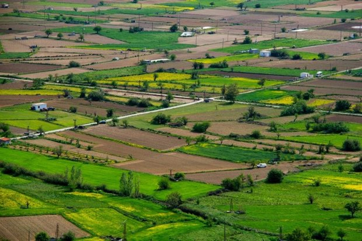 Bakıda torpaq 20 faiz bahalaşdı