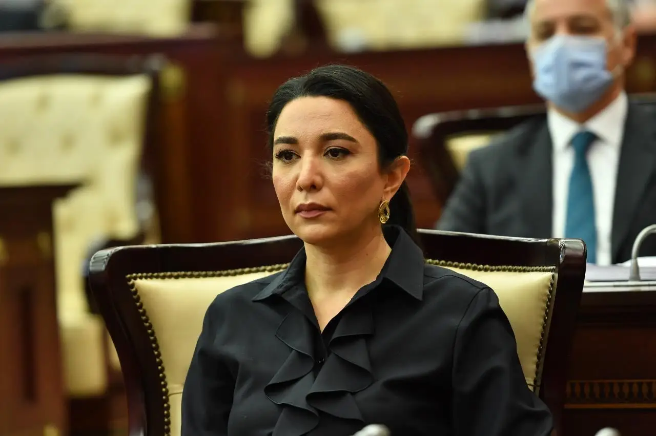 Səbinə Əliyeva azərbaycanlılara qarşı zorakılıqla bağlı Rusiya Ombudsmanına məktub ünvanlayıb