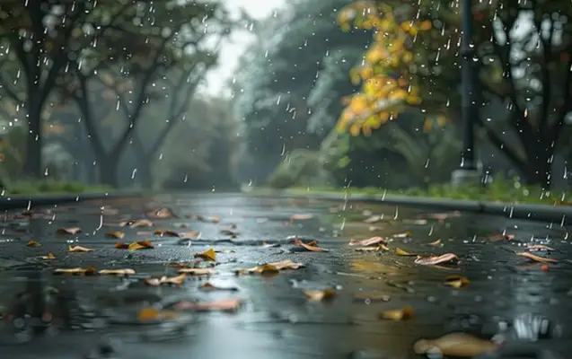 Oktyabrın ilk günü hava yağıntılı və küləkli olacaq