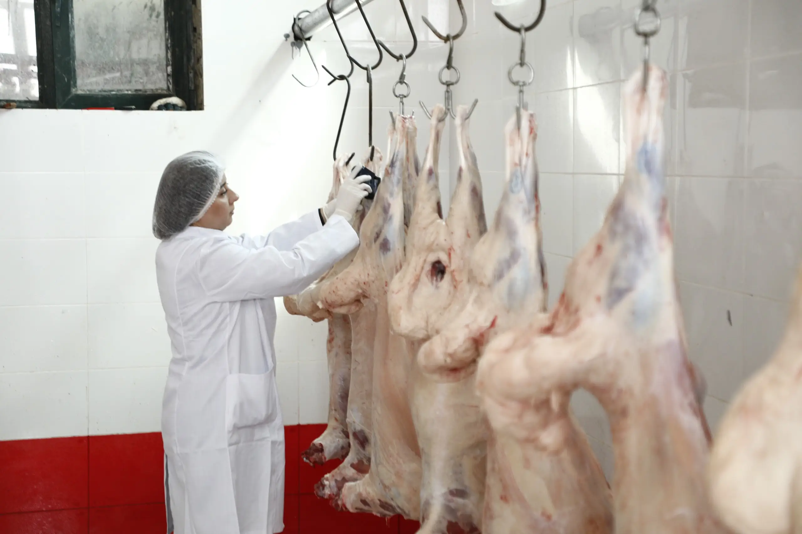 Mal bazarlarının bağlanması qərarı ət kəsimi və satışına maneə yaratmayacaq - RƏSMİ AÇIQLAMA