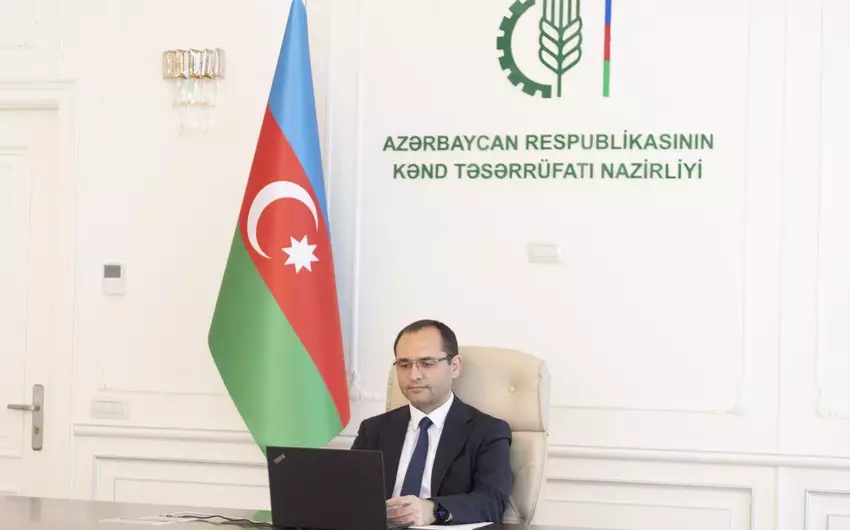Rusiyanın aparıcı taxıl ixracatçılarından ibarət missiya Azərbaycana gələcək - FOTO