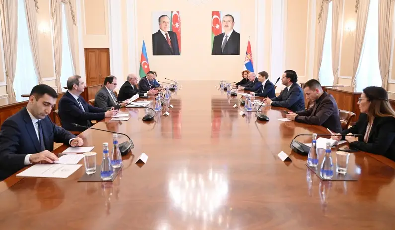 Baş nazir Serbiya Milli Assambleyasının sədri ilə görüşüb