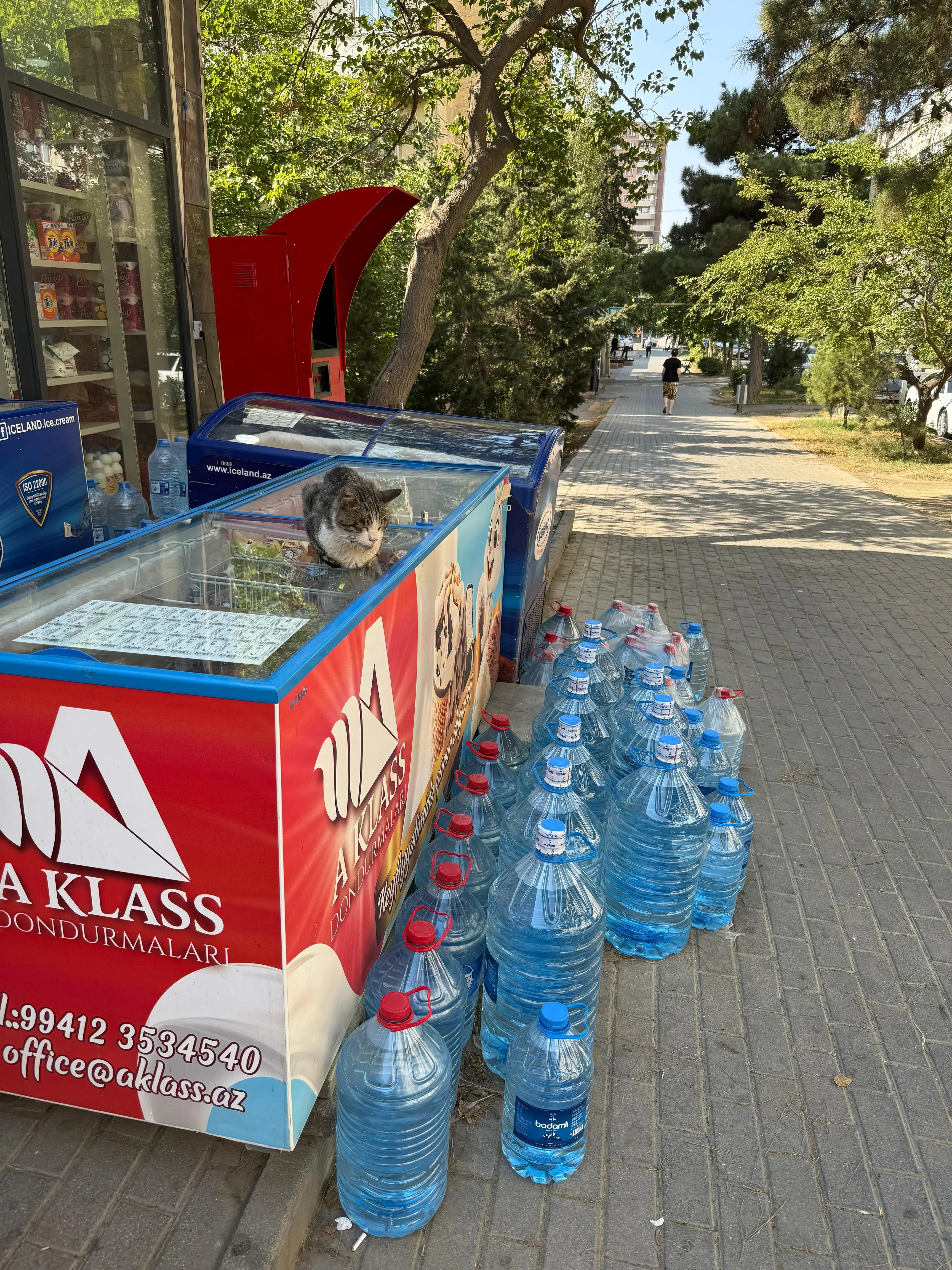 Bakıda ticarət və satış şəbəkələrində monitorinqlər keçirilir - FOTO