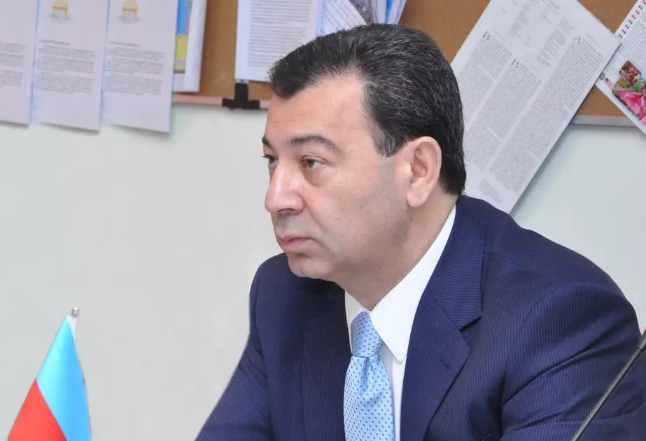 “Azərbaycan 80-dən çox ölkəyə sərbəst gediş-gəlişi təşkil edə bilir” - Komitə sədri