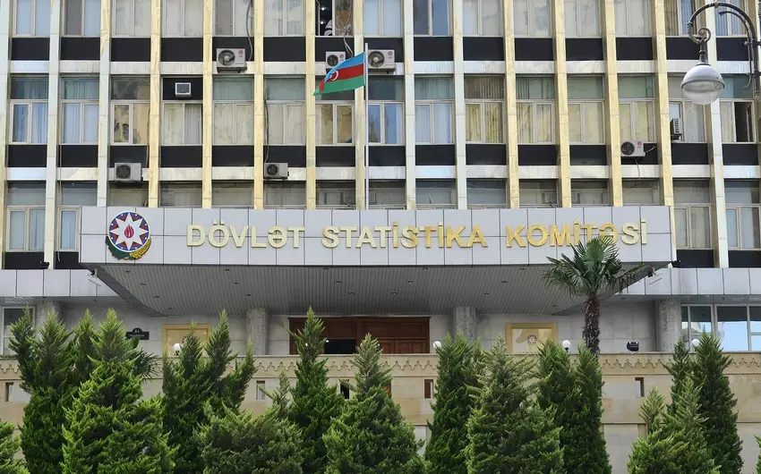 Dövlət Statistika Komitəsinin kollegiyasının tərkibində dəyişiklik edilib