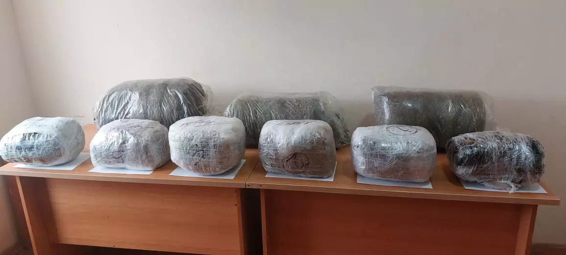 DSX: Ümumi dəyəri 2 milyondan çox qaçaqmal saxlanılıb