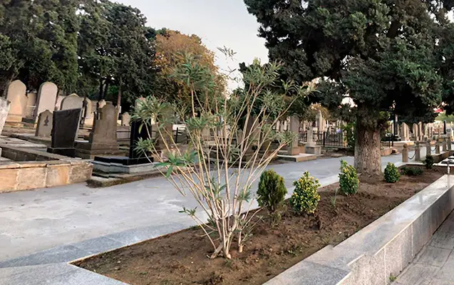 Azərbaycanda 2 nəfər qəbiristanlıqda öldü