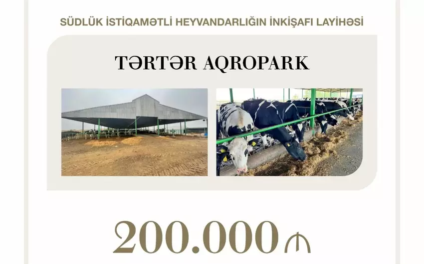 Heyvandarlığın inkişafı layihəsi üçün kredit ayrıldı