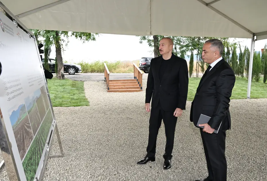 İlham Əliyev Xocalının Daşbulaq kəndində tut bağında görülmüş işlərlə tanış olub