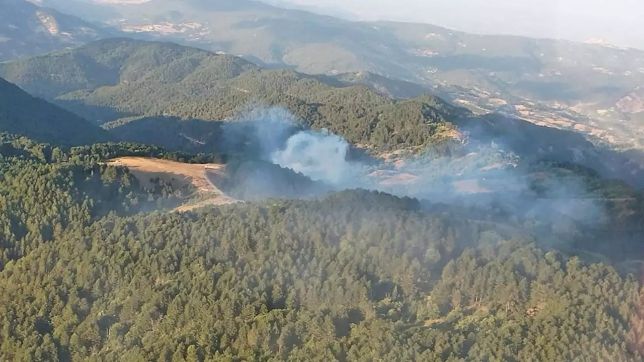 Balıkesirdə meşə yanğını olub