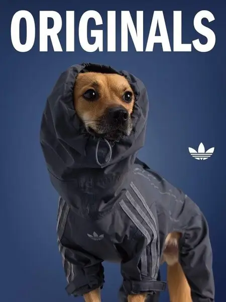 "Adidas"ın Çində buraxdığı yeni geyimlər maraqla qarşılanıb