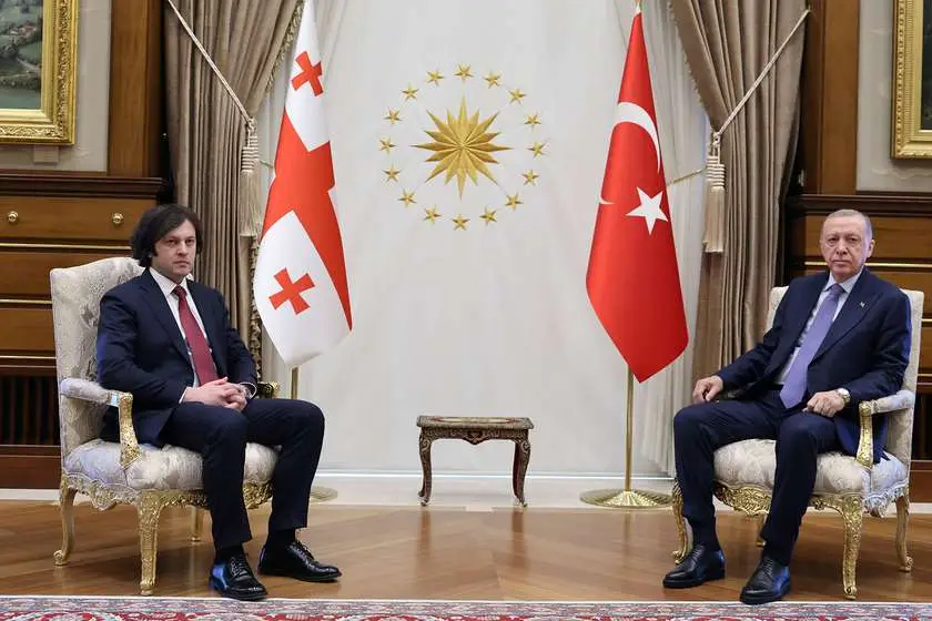 Türkiyə prezidenti Gürcüstan baş naziri ilə təyyarə qəzasını müzakirə edib