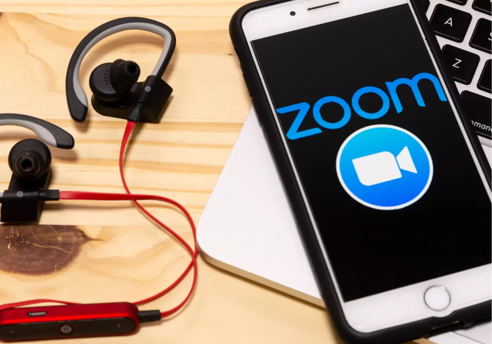 "Zoom"un xalis mənfəəti artıb