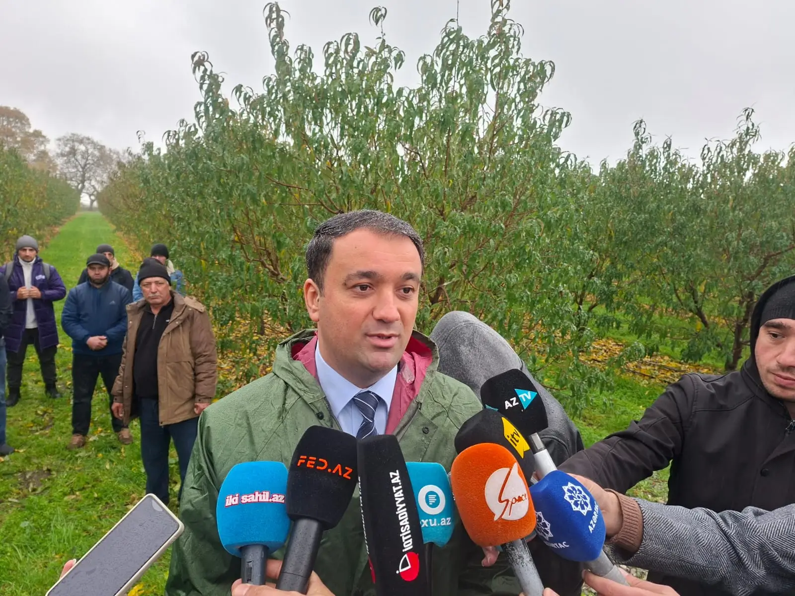 Azərbaycanda meyvə bağlarında ilk dəfə ən böyük sığorta ödənişi həyata keçirilib
