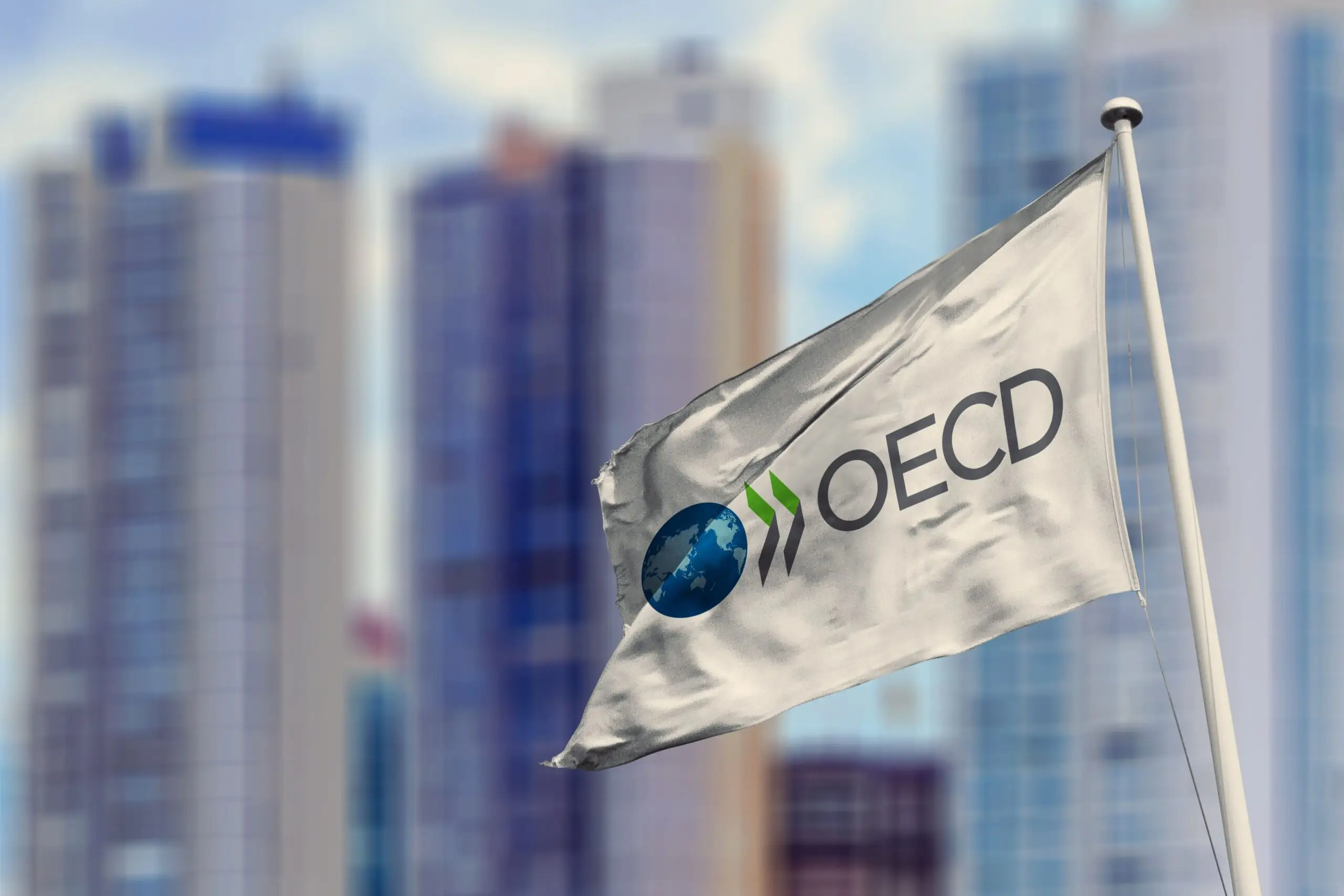 DVX nümayəndəsi OECD-nin yüksəksəviyyəli ekspert qrupuna üzv seçilib