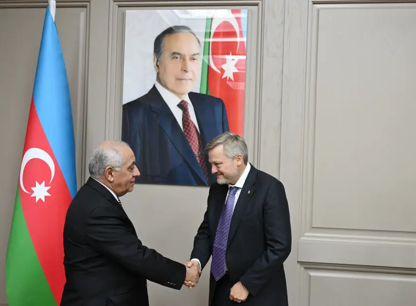Əli Əsədov bp-nin nümayəndə heyəti ilə görüşüb