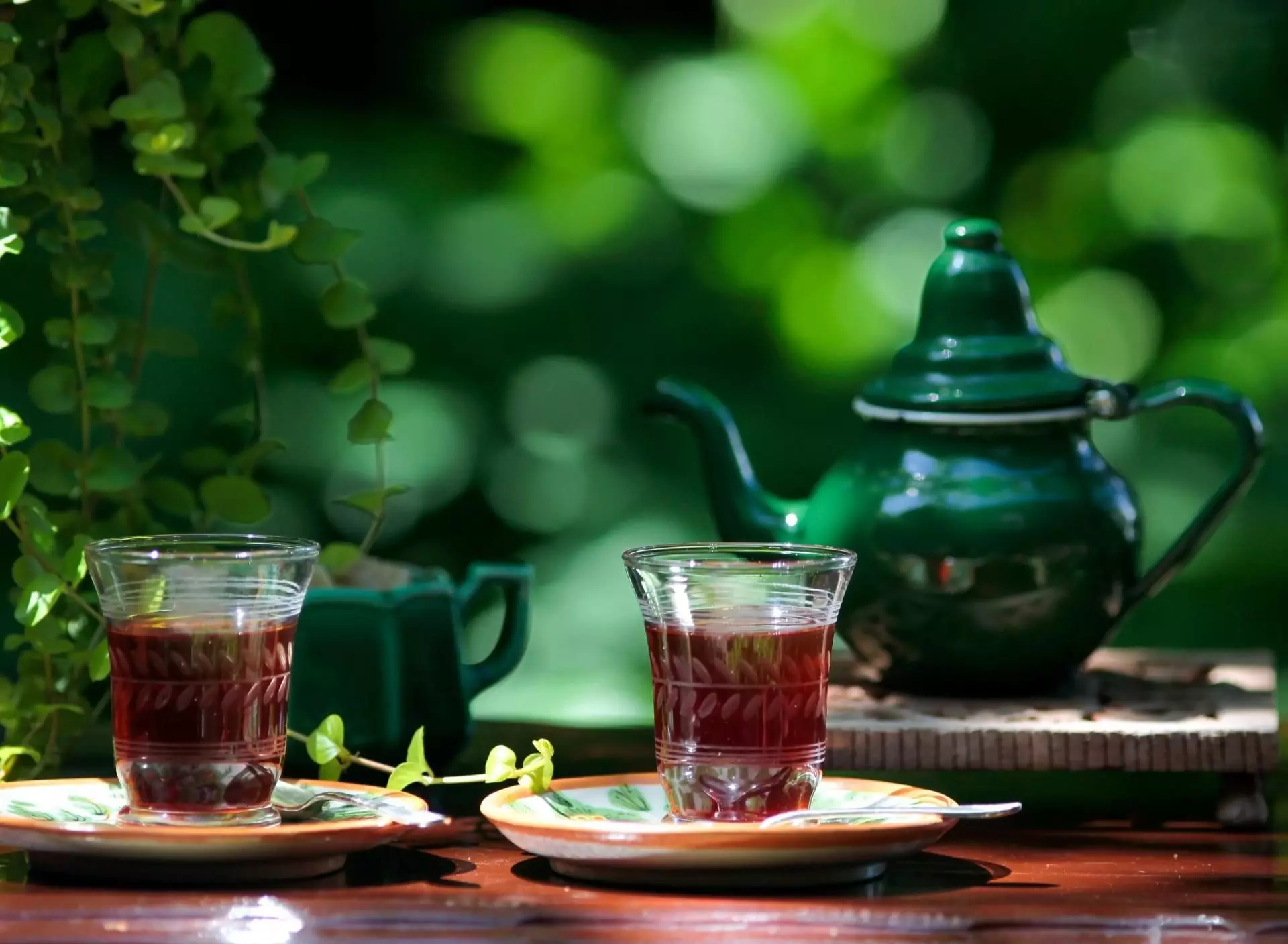 Azərbaycanın çay ixracından gəliri 21% artıb