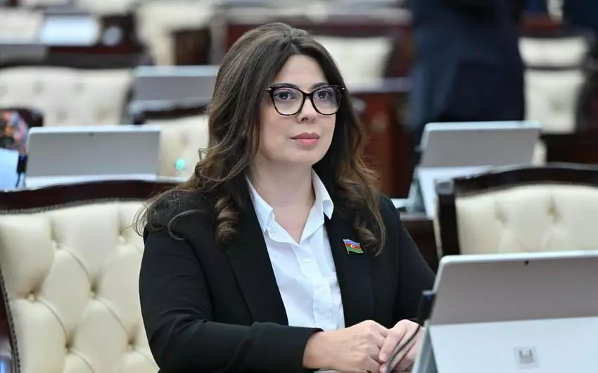 “Gənclər hər bir dövlətin gələcəyini, inkişafını istiqamətləndirən cəmiyyətin aparıcı qüvvəsidir” - Deputat