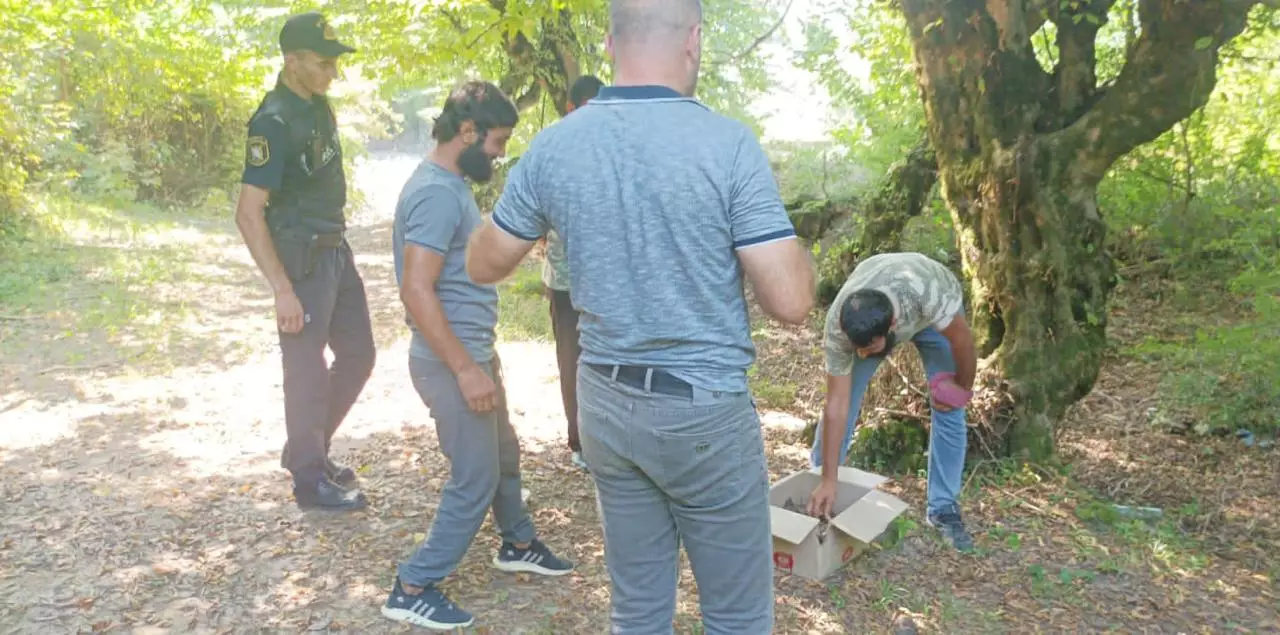 Zaqatalada qanunsuz ov edən şəxslər aşkarlanıb