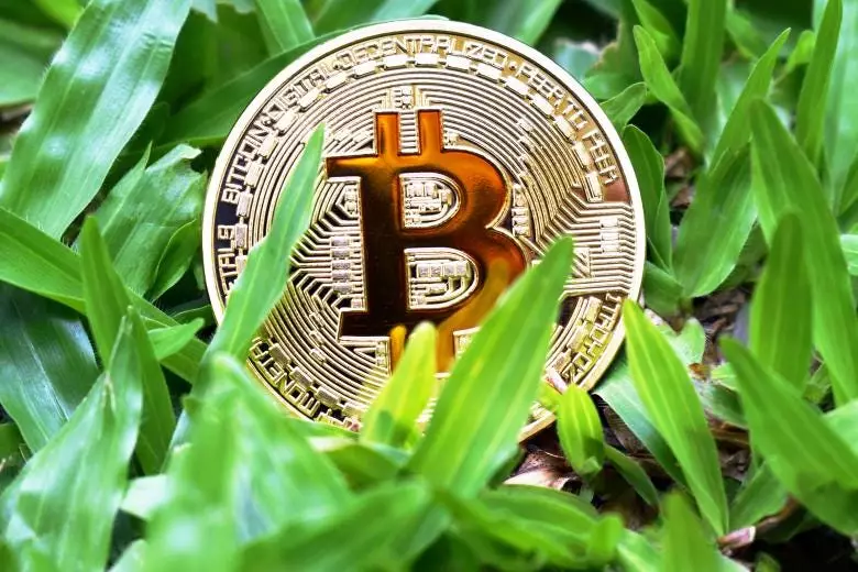 Bitkoinin qiyməti 8% artdı