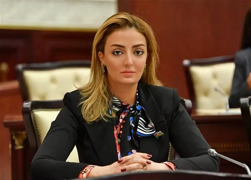 Deputat: “Azərbaycan Ordusu real döyüş əməliyyatlarında öz sözünü demiş ordudur”