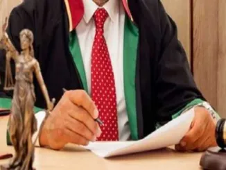 Vəkil sorğusunun cavablandırılması üçün müddət müəyyənləşir