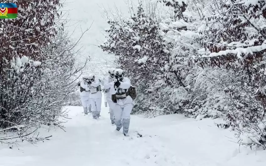 "Dərin qar və şiddətli soyuqlarda döyüş" mövzusunda təlim keçirilib - VİDEO