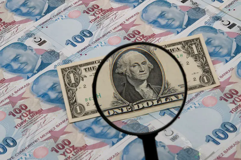 Türkiyə Mərkəzi Bankı faizləri azalda bilər