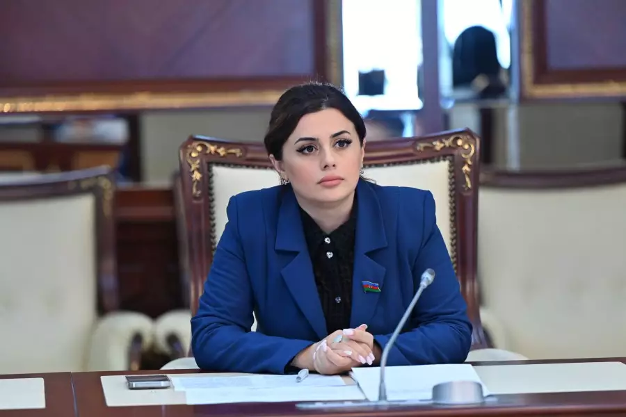 “Belçika deputatları Azərbaycan xalqına qarşı törədilən cinayətləri görməzdən gəlir” - Pərvanə Vəliyeva