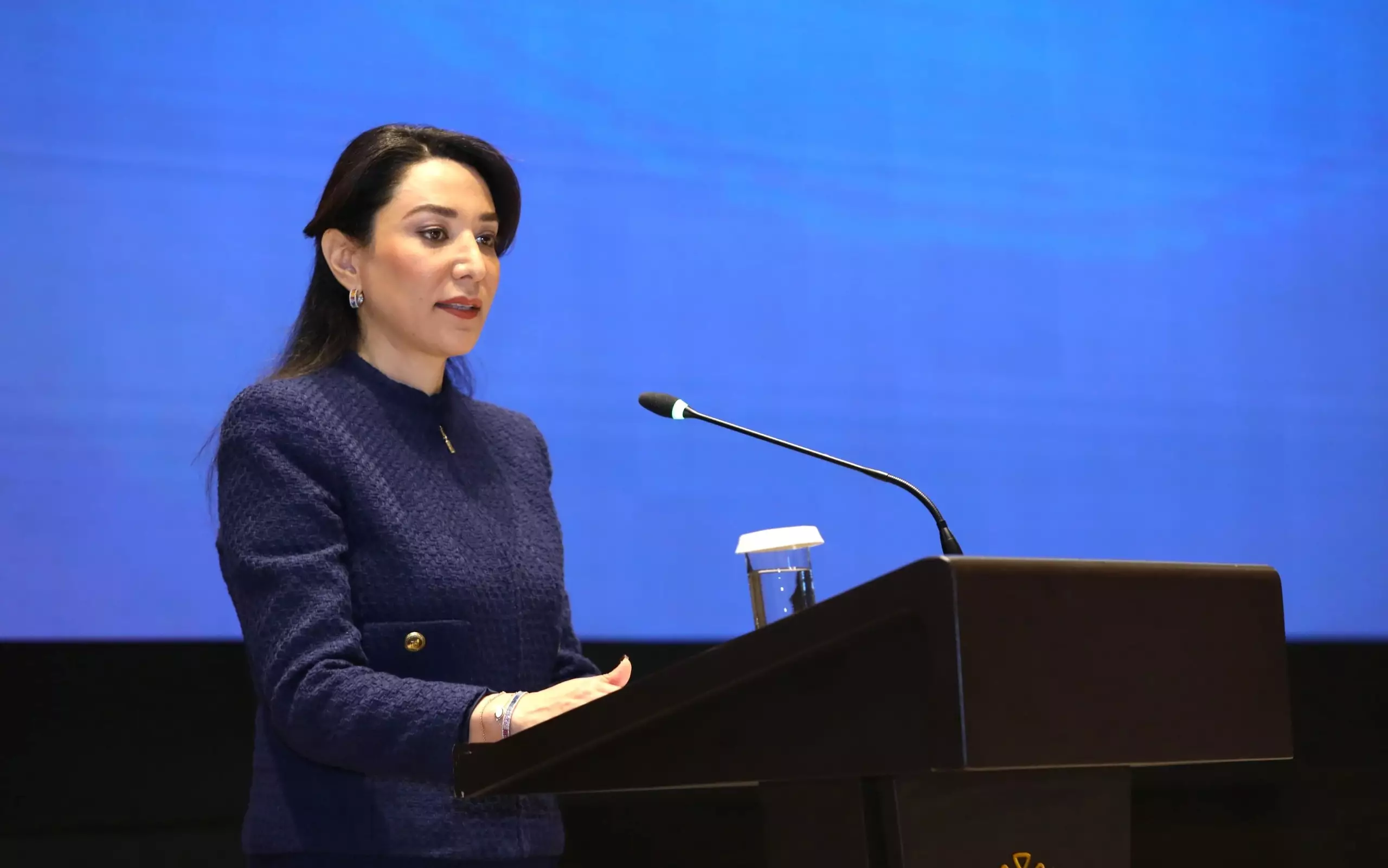 Ombudsman: Ermənistanın mina terroru günahsız insanların təhdid altında olduğunu göstərir