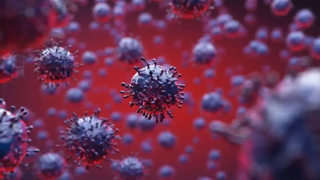Çində yeni koronavirus aşkarlanıb