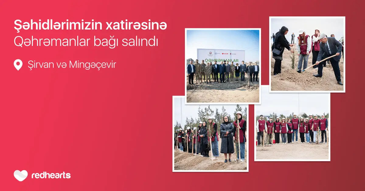“Qəhrəmanlar bağı” layihəsi: Şəhidlərin xatirəsinə 543 ağac əkildi