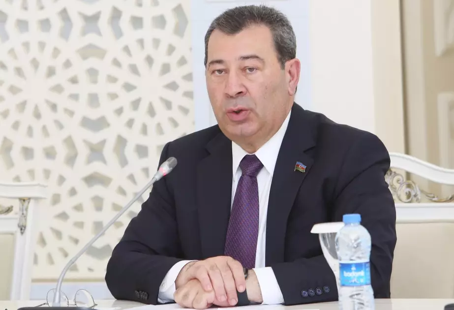 “85 ölkə ilə vizasız rejimi qəbul etmişik” - Komitə sədri