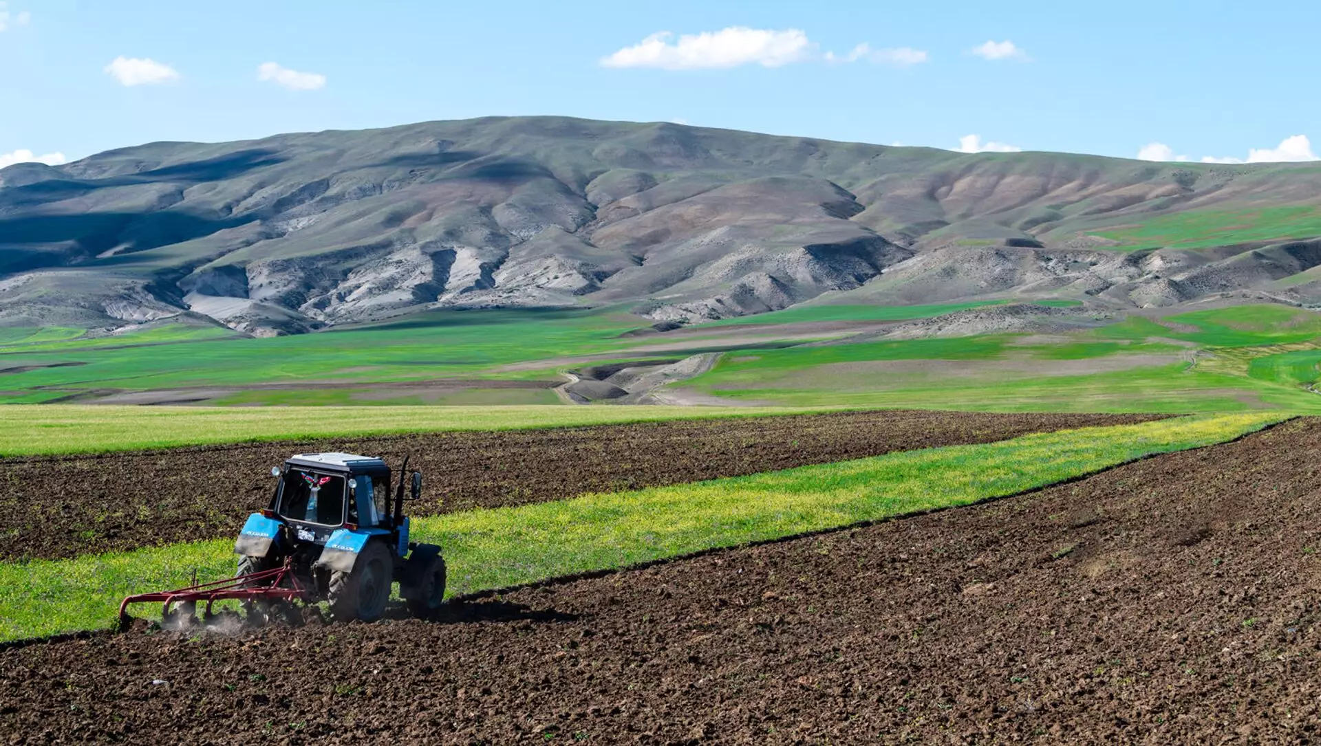 Son üç ildə Azərbaycanda aqrar sektor üzrə nəzərdə tutulan illik artım faizi icra edilməyib
