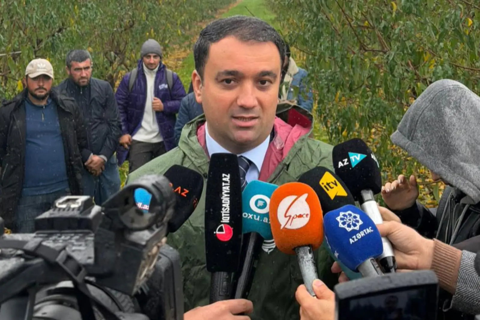 Azərbaycanda meyvə bağlarına 1 milyon manat sığorta ödənişi edilib - FOTO