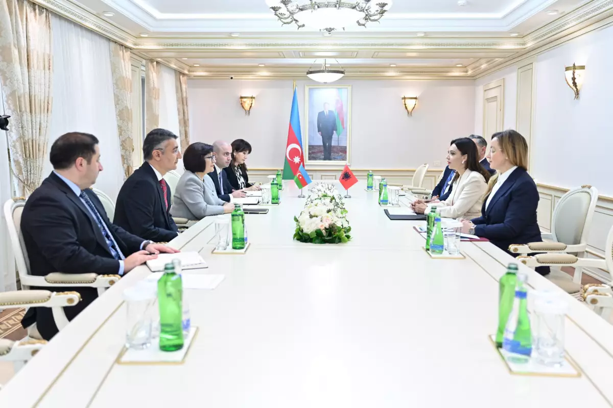 Milli Məclis və Özbəkistan Ali Məclisi Senatının sədrləri görüşüb