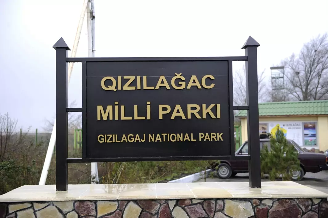 Qızılağac Milli Parkındakı yanğın tam söndürülüb