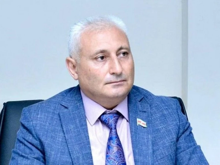 Azərbaycanda yeni akademiyanın yaradılması təklif edilir