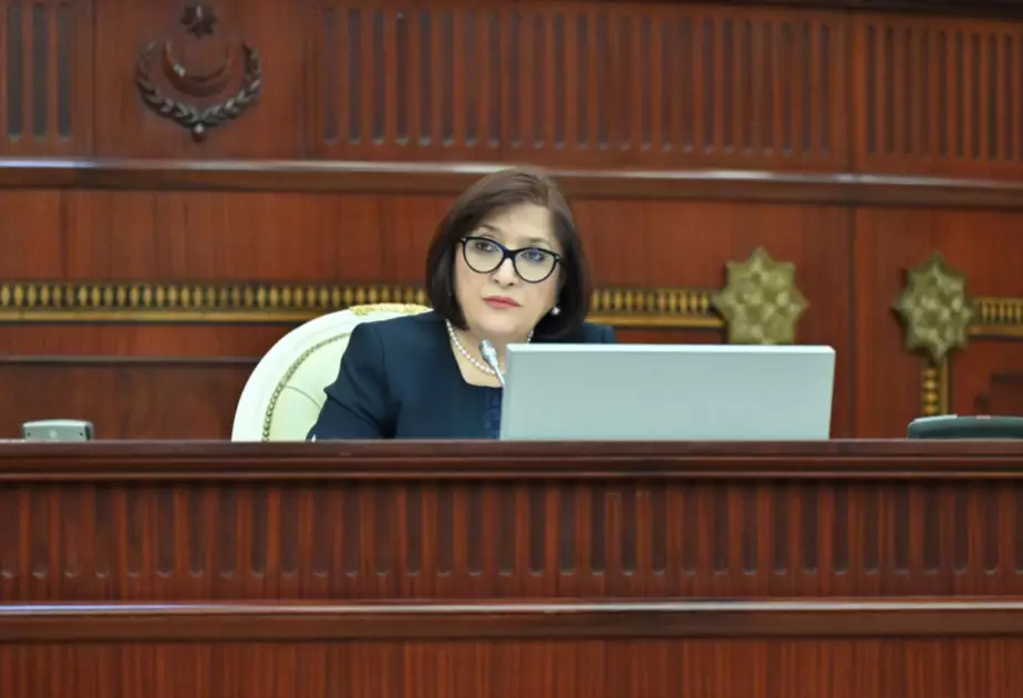 Sahibə Qafarova Monteneqro Parlamentinin sədrinə başsağlığı verib