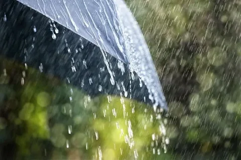 Rayonlarda yağıntılı hava mayın 7-dək davam edəcək - XƏBƏRDARLIQ