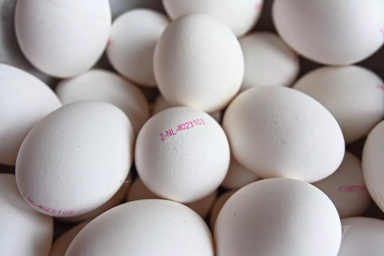 Yumurtanın satışı hansı halda qadağandır?