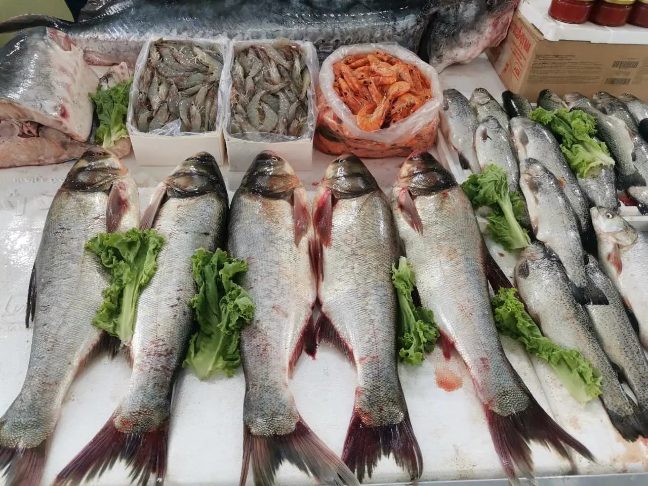 Bakıda balıq yarmarkası fəaliyyətə başlayıb - FOTO
