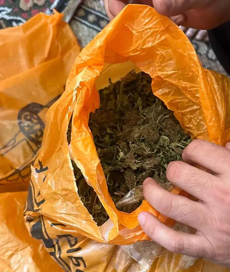 İsmayıllı sakinindən 3 kiloqramdan artıq narkotik vasitə götürülüb