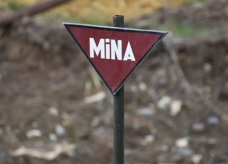 Ötən həftə 1304,6 ha ərazi minalardan təmizlənib