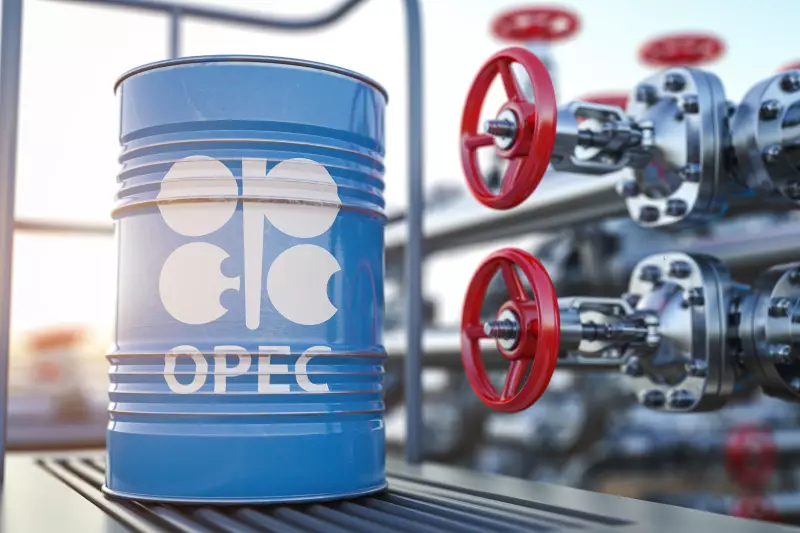 "OPEC+" ölkələri neft hasilatını 3 dəfədən çox artıracaq