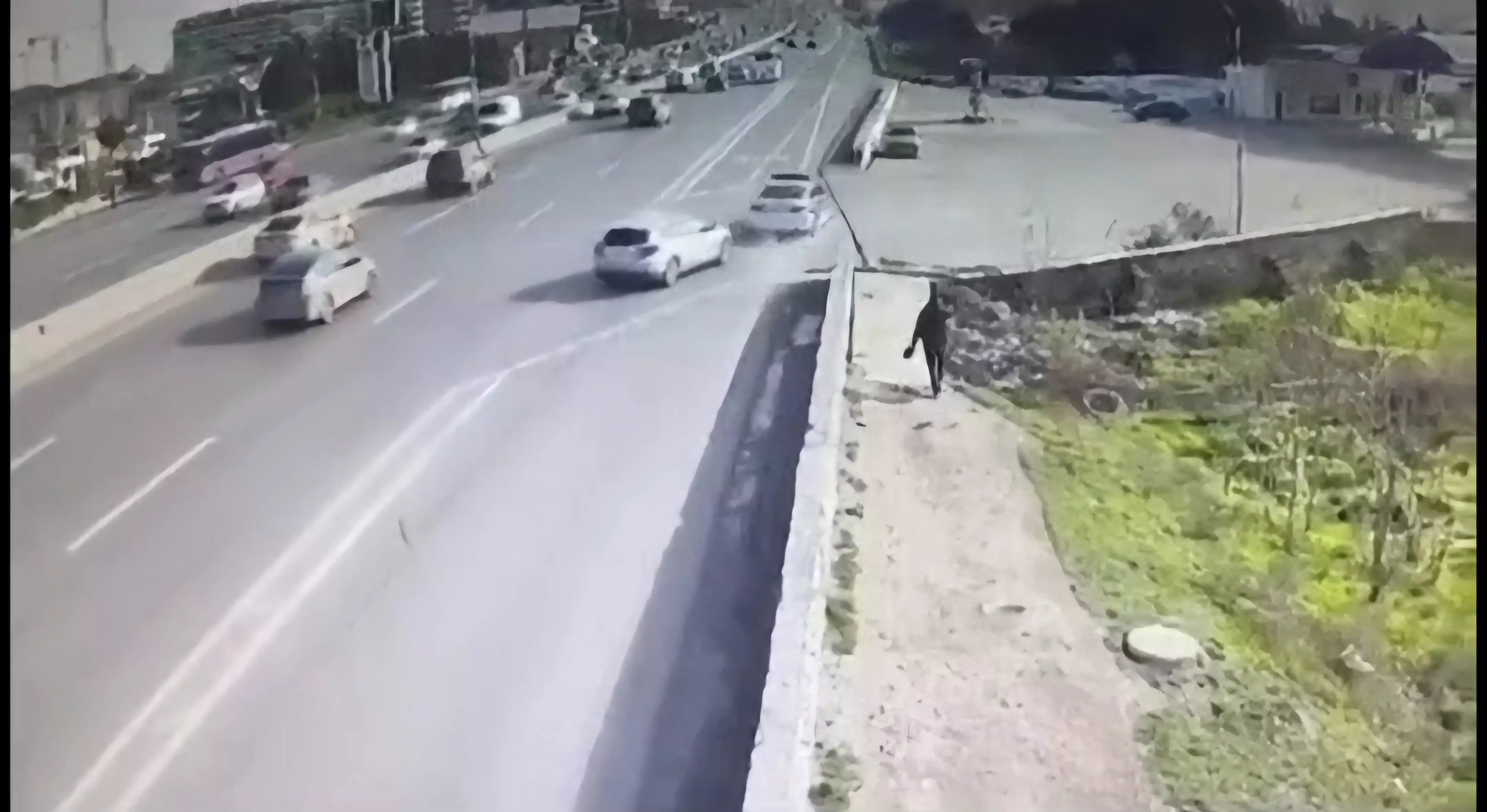 Avtobus zolağı olan küçələrdə sağa dönərkən yol kimindir? - RƏSMİ AÇIQLAMA