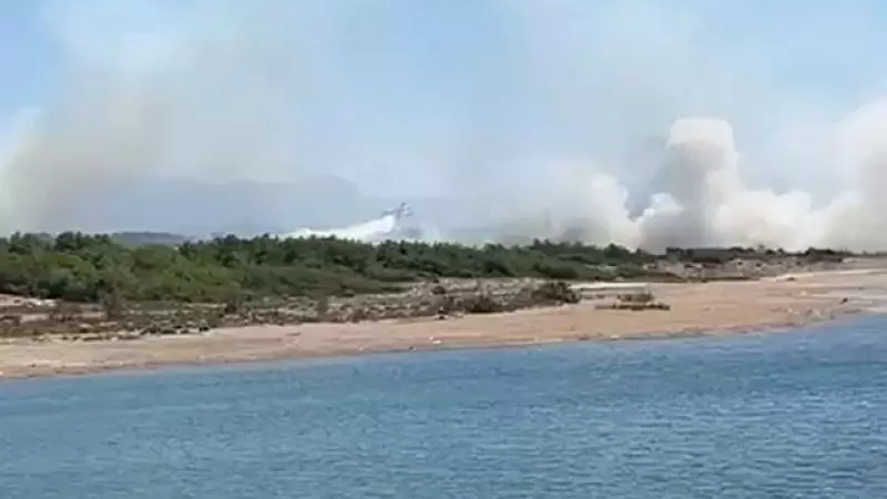Antalyanın turizm bölgəsində meşədə yanğın başlayıb