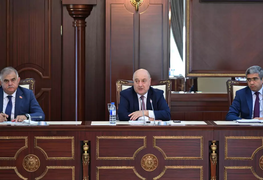 "Ünvanlı sosial yardım dünyanın heç bir yerində ömürlük mərhələ deyil" - Komitə sədri