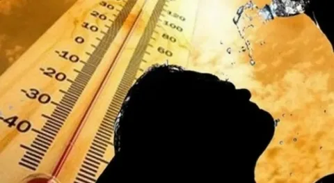 Bakıda 38 dərəcə isti var - FAKTİKİ HAVA
