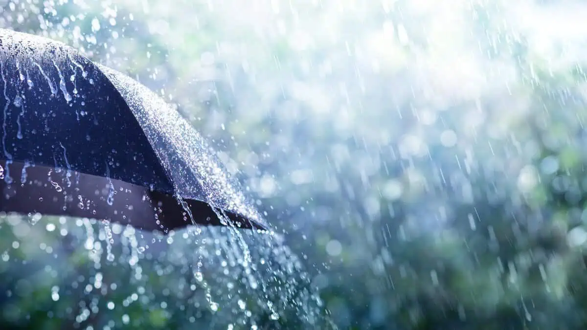 Yağıntılı hava şəraiti davam edir - FAKTİKİ HAVA